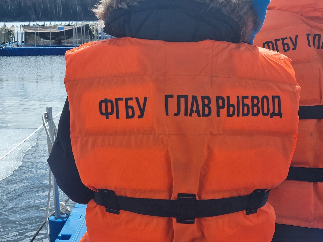Фото: Департамент РТ и ИГ Свердловской области